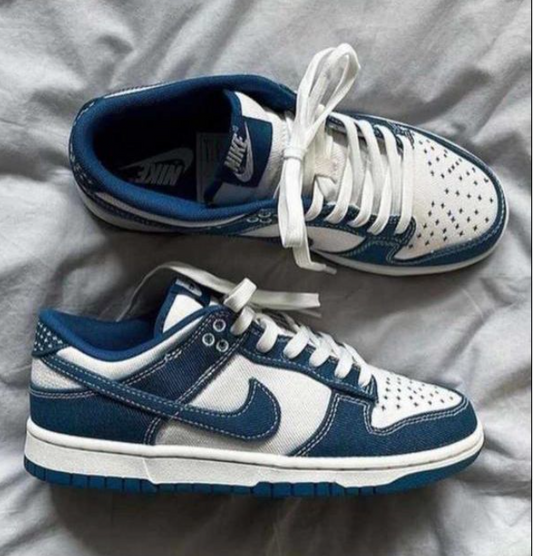 Nike Dunk Blue and White